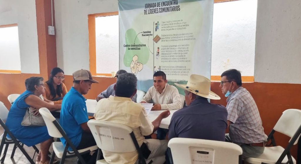 Líderes comunitarios impulsan agricultura sustentable en Chiapas CIMMYT