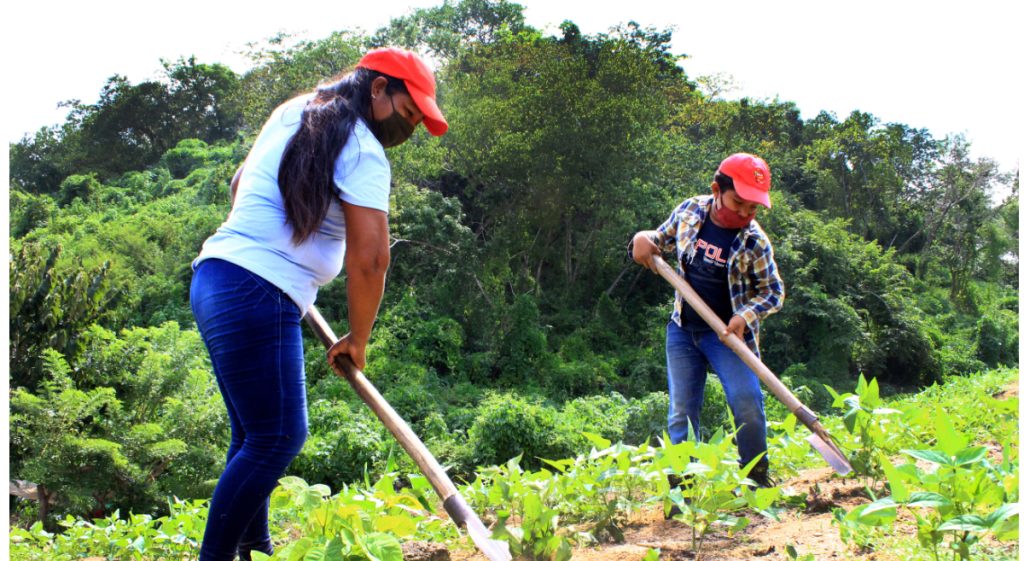 Mujeres Y J Venes En El Centro De La Innovaci N En Agricultura Cimmyt