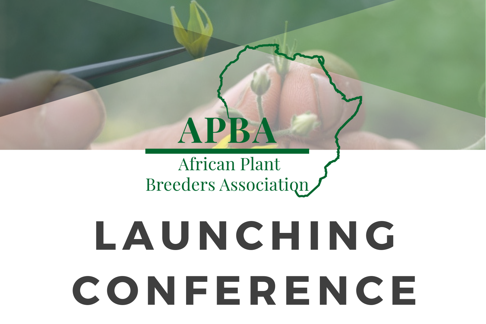 African Plant Breeders Association (APBA) conference CIMMYT