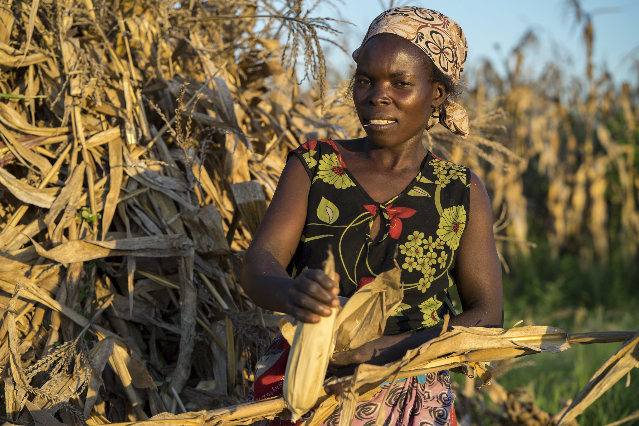 Reaching women with improved maize and wheat – CIMMYT