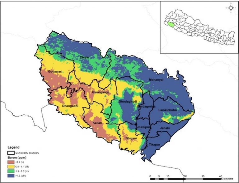 Balanced fertilizer application boosts smallholder incomes – CIMMYT