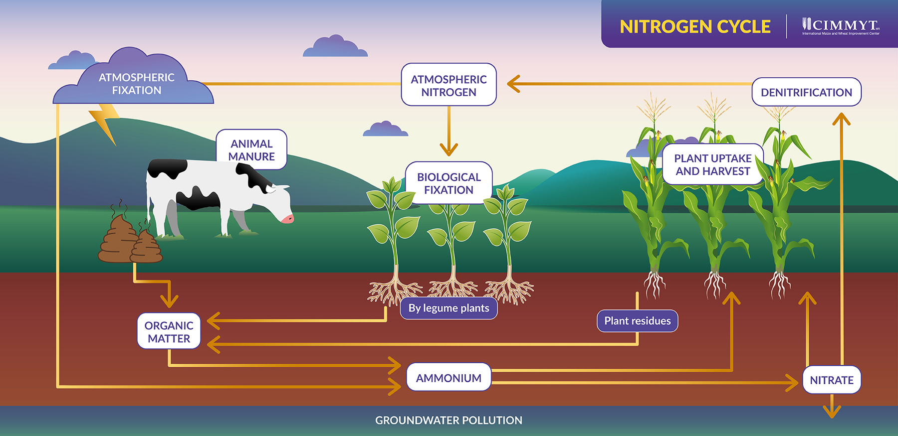 Nitrogen Production. Nitrogen Starvation of Wheat. Nitrogen mixtures. Nitrogen used.