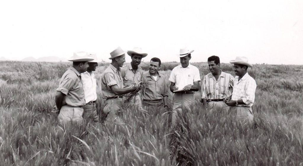 Norman Borlaug, un legado vigente CIMMYT