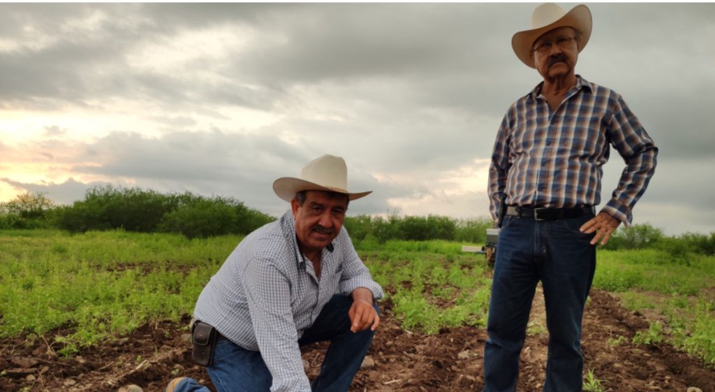 El Campo Mexicano Ante Los Retos De La Seguridad Alimentaria Global ...