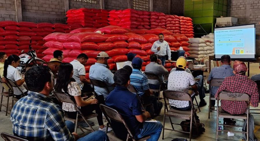 Especialista en poscosecha de CIMMYT durante capacitación en manejo poscosecha de grano. (Foto: InnovaHub Oriente Honduras)