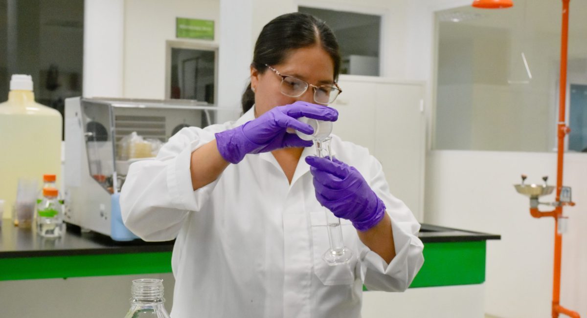 Gabriela Juárez, del equipo de signatarios del Laboratorio de Sanidad de Semillas de CIMMYT, desarrollando algunas pruebas. (Foto: Jenifer Morales / CIMMYT)