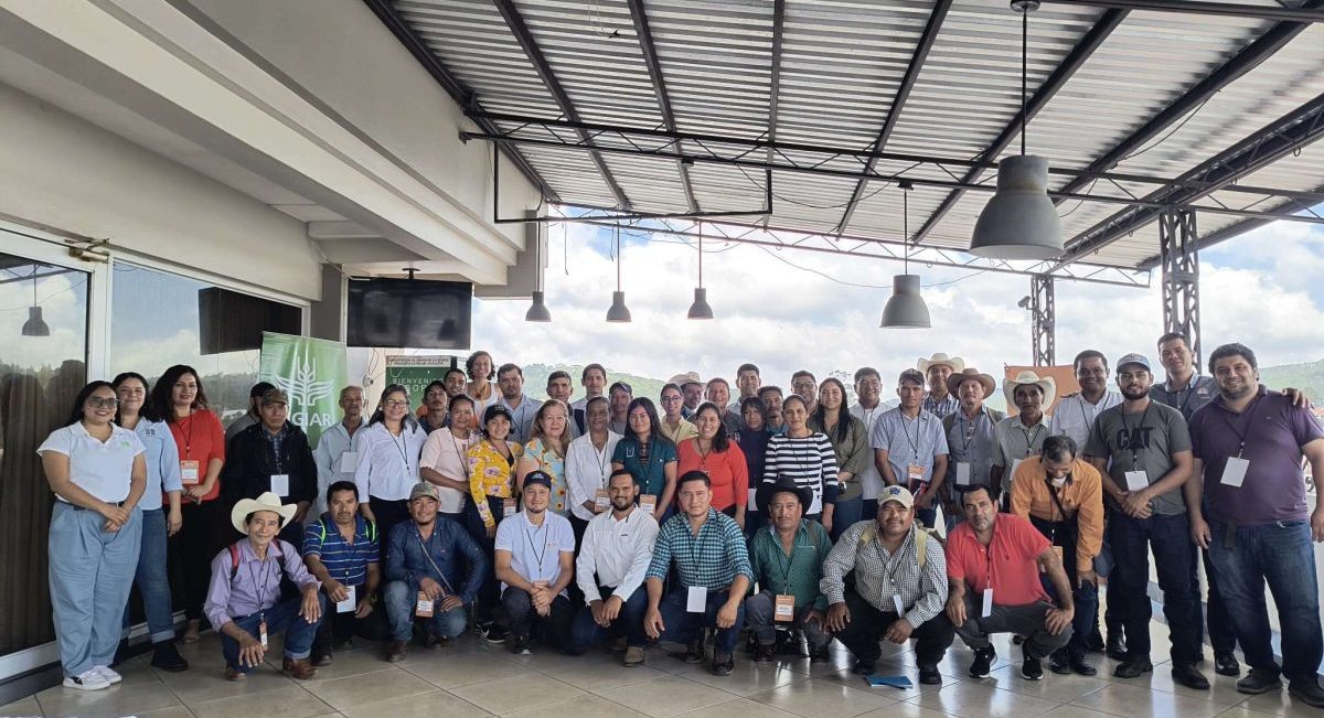 Fotografía grupal de los participantes en el Hub Meeting del InnovaHub Occidente de Honduras. (Foto: Fernando Morales / CIMMYT)