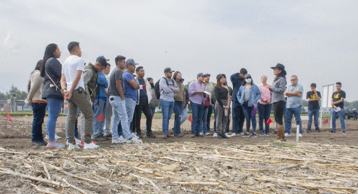 Día de Puertas Abiertas en la sede global de CIMMYT en Texcoco, Estado de México. (Foto: Jenifer Morales / CIMMYT)