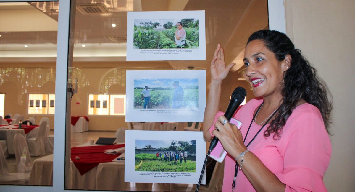 Productora de Honduras comparte cómo implementó innovaciones sustentables en su parcela. (Foto: Fernando Morales / CIMMYT)