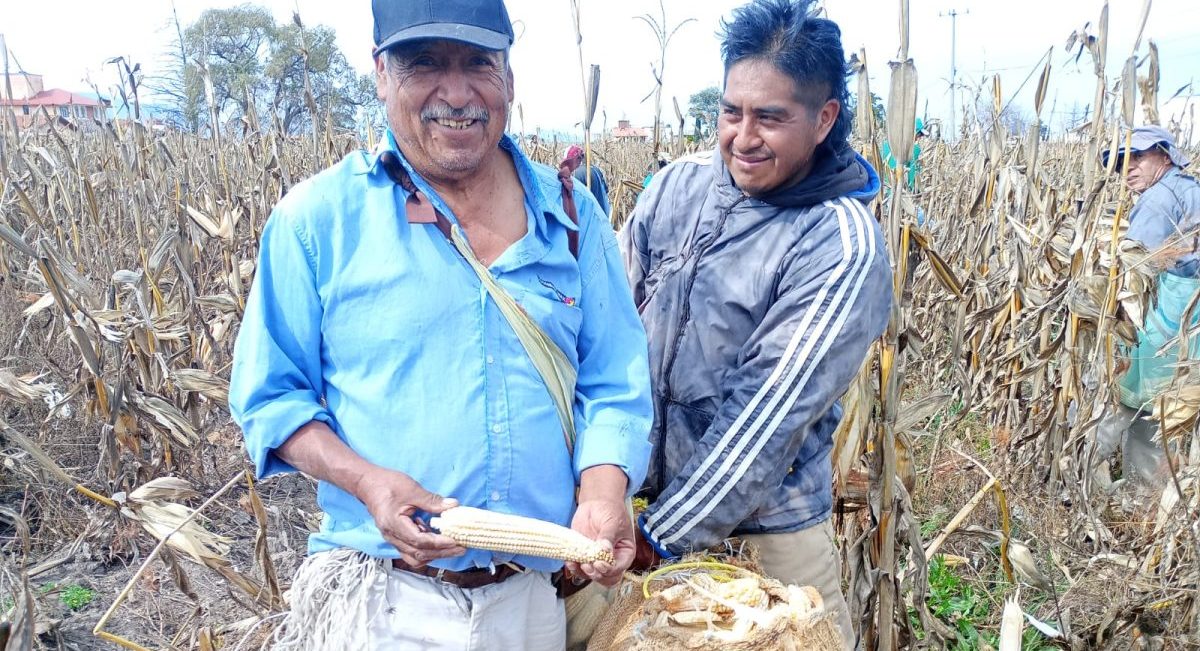 El productor Carlos Juárez Guzmán (izquierda) muestra parte de una de sus cosechas. (Foto: Carlos Juárez Guzmán)