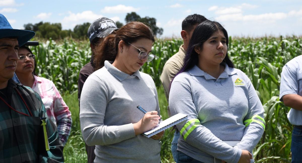 Sesión del curso de Técnico Certificado en Agricultura Sustentable impulsado por GRUMA y CIMMYT. (Foto: Gabriela Bracamontes / CIMMYT)