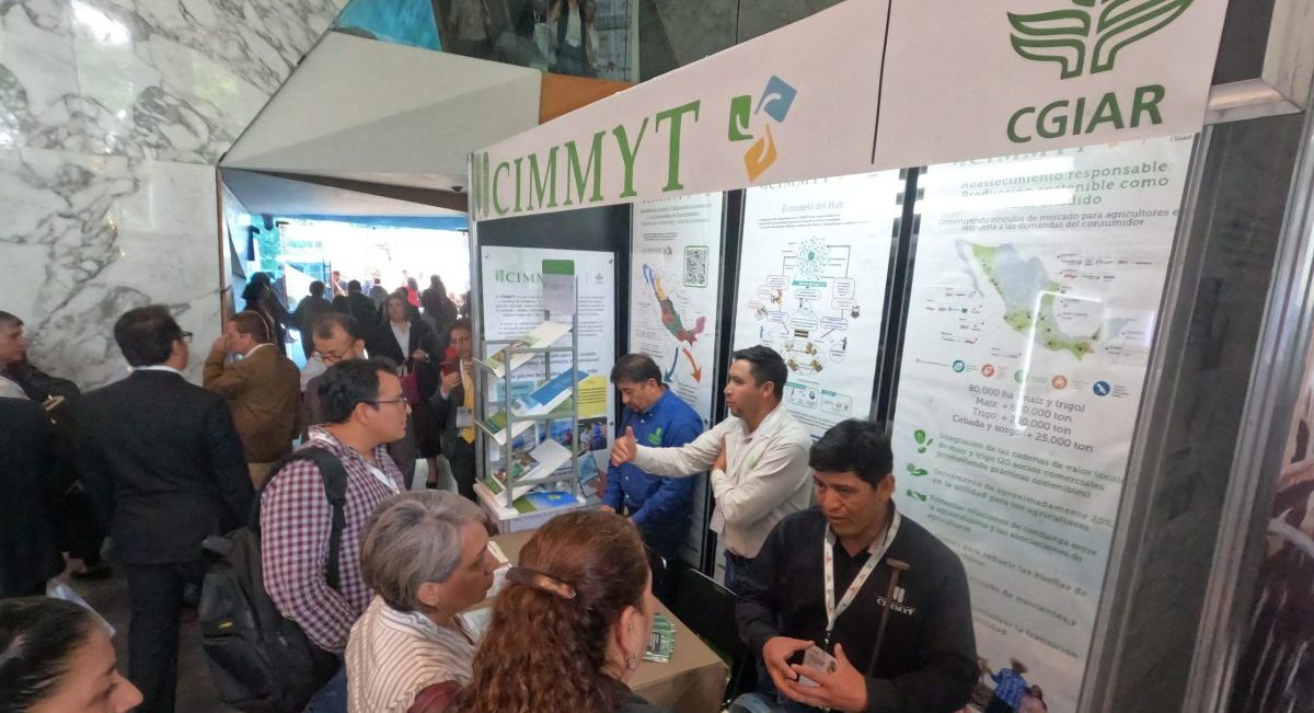 Stand del CIMMYT en la 2ª edición del Congreso de Sanidad e Inocuidad para la Seguridad Agroalimentaria. (Foto: Francisco Alarcón / CIMMYT)