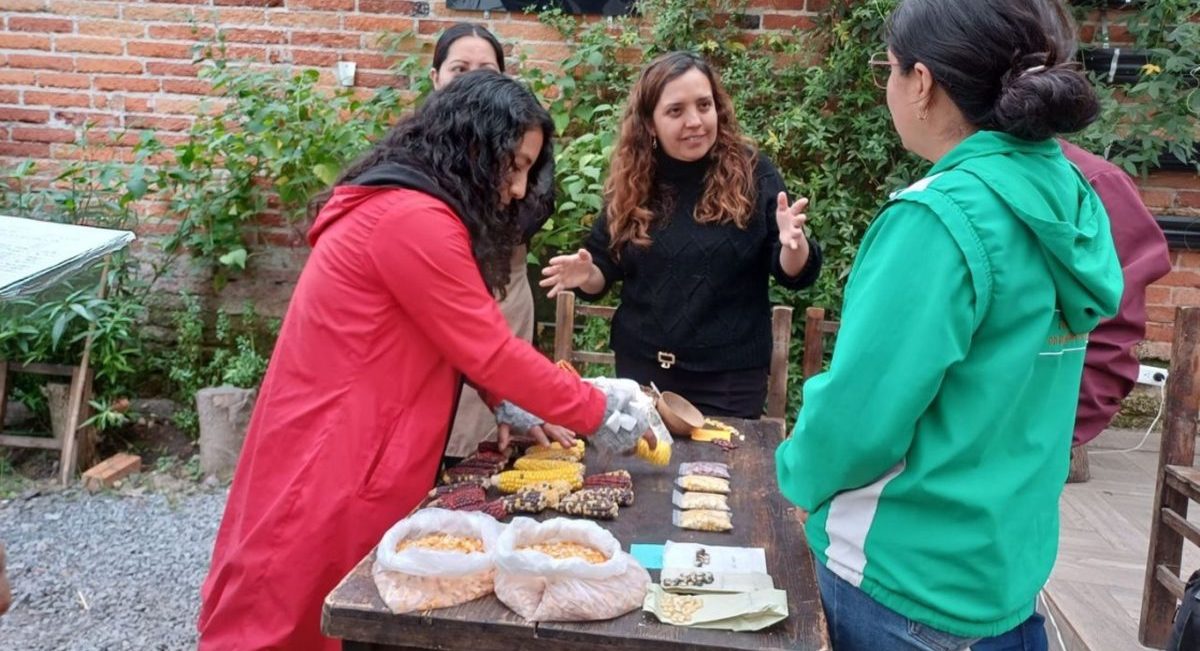 Agricultoras y compradoras en el encuentro del taller sobre la cadena de valor de los maíces nativos de Pasto. (Foto: Jessica González / CIMMYT).