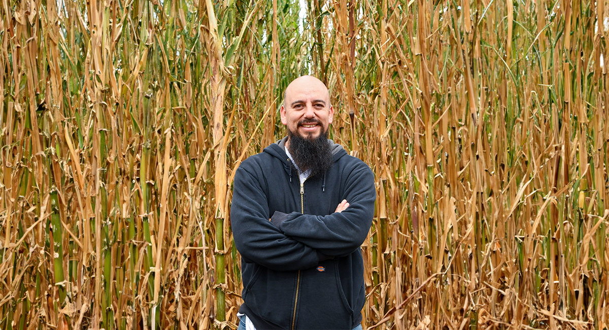 Cristian Zavala, investigador de CIMMYT, junto a una parcela de maíz. (Foto: Gabriela Bracamonte / CIMMYT)