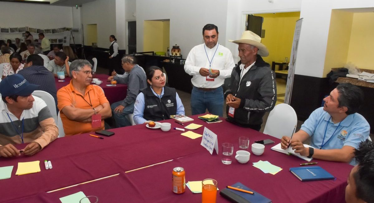 Mesas de trabajo durante el Hub Meeting Chiapas. (Foto: Gabriela Bracamonte / CIMMYT)