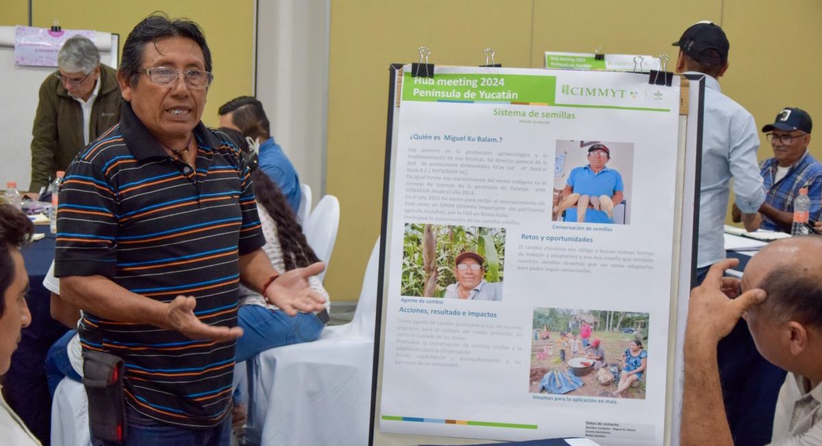 Miguel Ku Balam, durante las mesas de trabajo del Hub Meeting Península de Yucatán. (Foto: Sarah Martínez / CIMMYT)