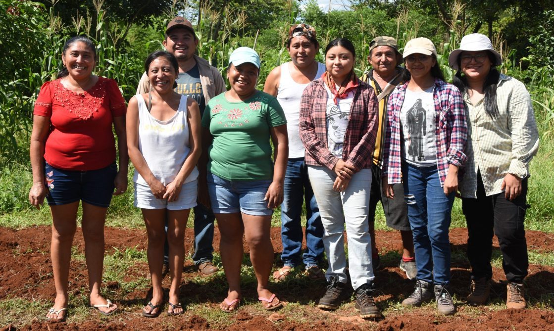 Miembros del grupo Maíz Criollo Cantundil junto a una parcela cultivada con el uso de prácticas sostenibles. (Foto: Jenifer Morales/CIMMYT)