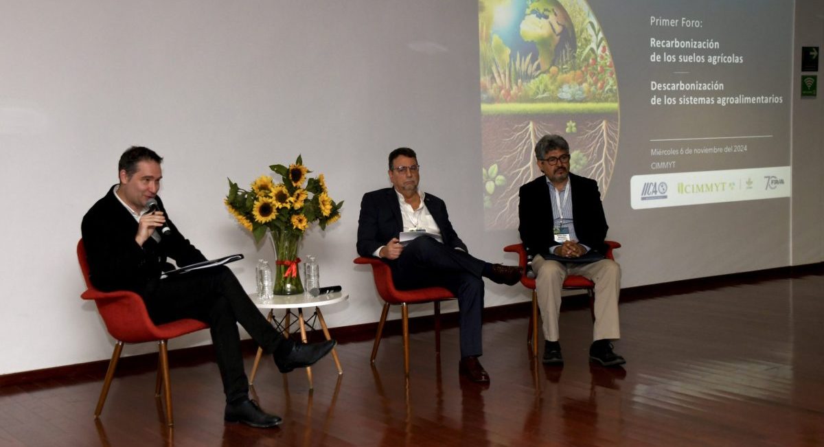 De izquierda a derecha: Bram Govaerts, Diego Montenegro y Pedro Díaz. (Foto: Jenifer Morales / CIMMYT)