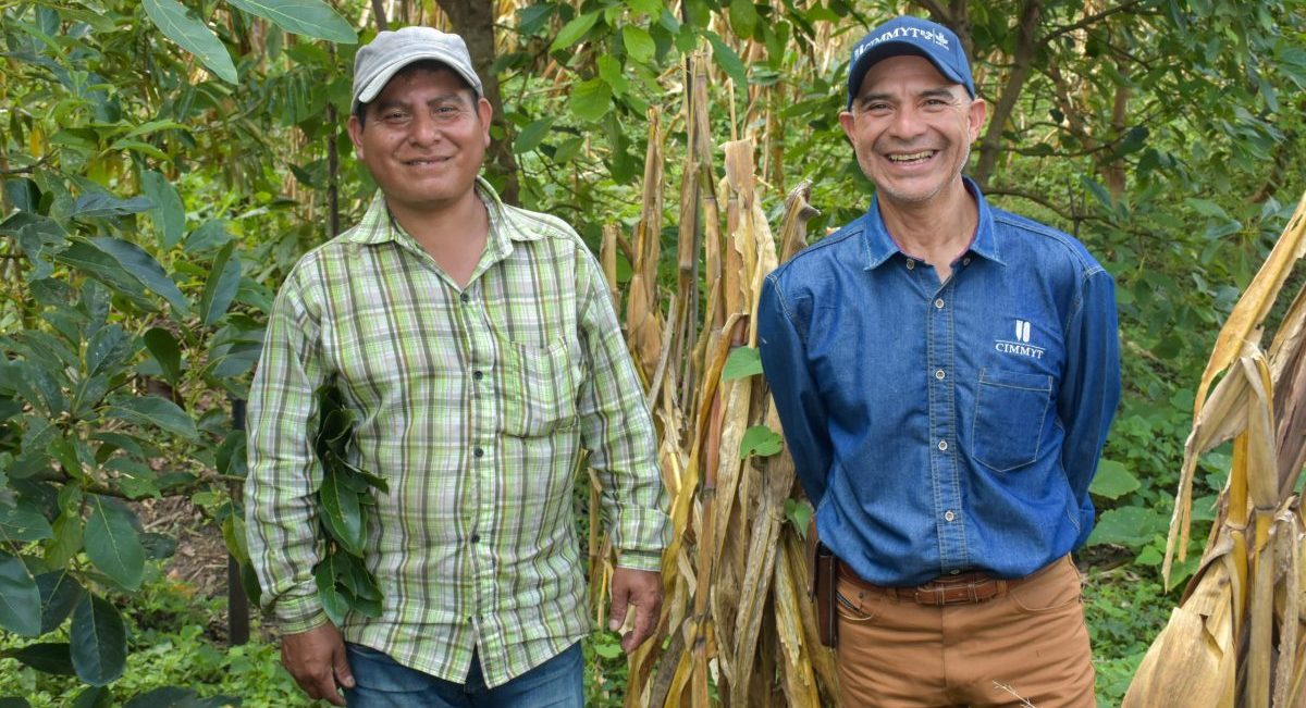 El productor Abelardo y Moisés Rodríguez, colaborador del CIMMYT en Chiapas, muestran con orgullo la diversidad de cultivos que han integrado a la milpa. (Foto: Gaby Bravamente / CIMMYT