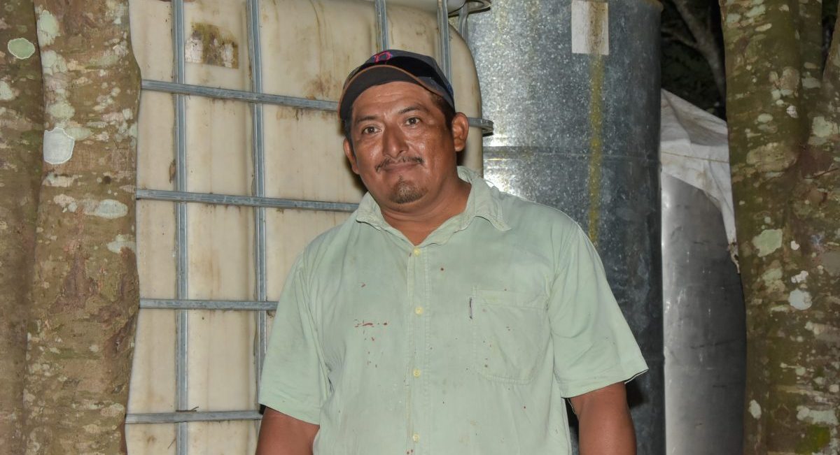 Reynaldo Góngora, productor de Hopelchén, Campeche. (Foto: Jenifer Morales / CIMMYT)