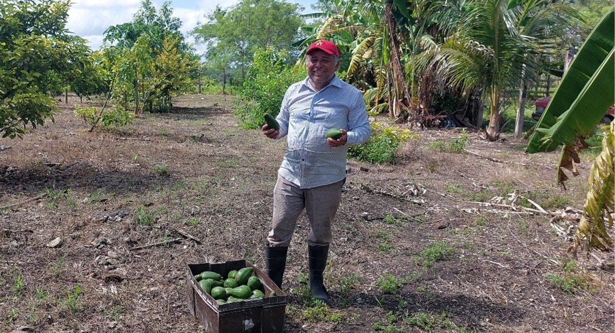 El agricultor Jaime Varguez en su parcela, mostrando parte de su cosecha de frutales. (Foto: Alexis Eduardo Varguez)