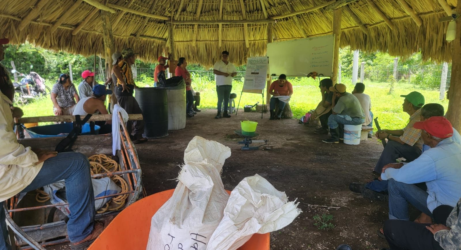 Taller de agricultura sustentable en Bacalar, Quintana Roo. (Foto: Hub Península de Yucatán-CIMMYT)