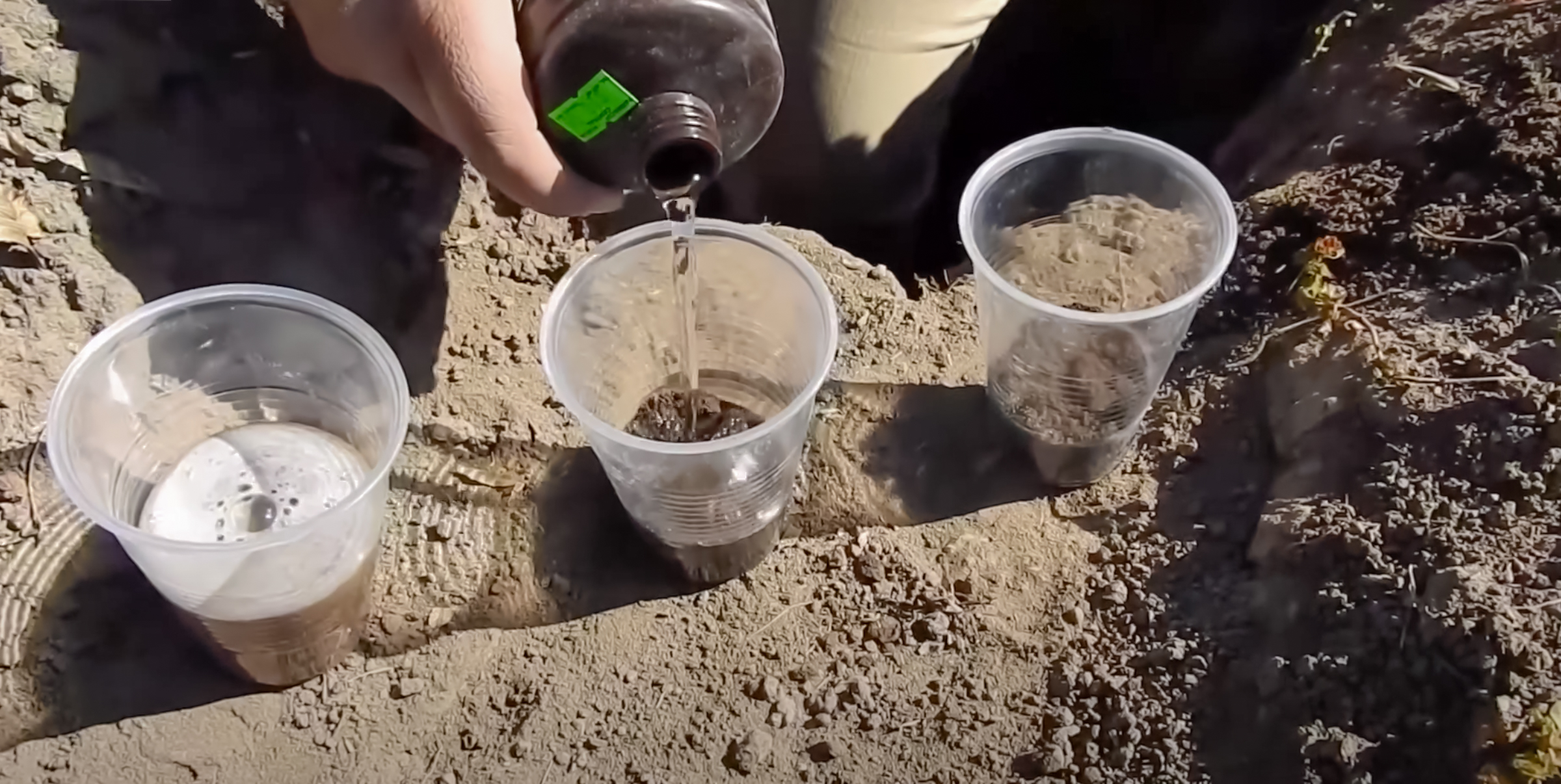 Aplicación de agua oxigenada en muestras de suelo con menor efervescencia, lo que indica un contenido más bajo de materia orgánica en los estratos profundos. (Foto: CIMMYT)