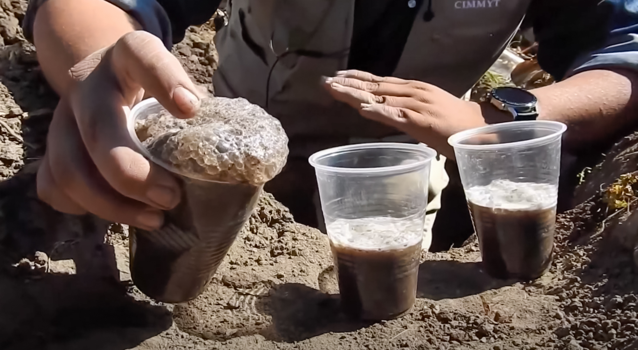 Reacción de una mayor efervescencia en una muestra de suelo tras aplicar agua oxigenada, indicando un alto contenido de materia orgánica en el estrato superior. (Foto: CIMMYT)