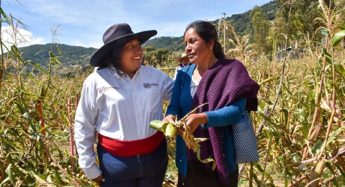 Teresa Santos Cortés, técnica de la SEFADER, conversa con Virgia, productora local, sobre las mejores prácticas para el cuidado del maíz criollo en Santa Lucía Miahuatlán. (Foto: Sarah Martínez)