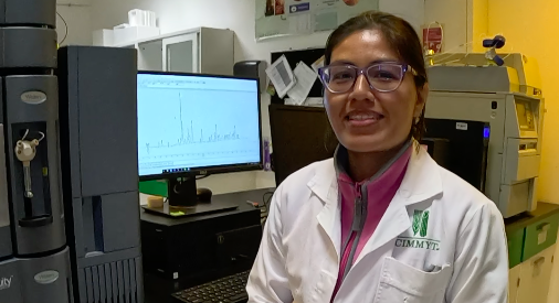 María Luisa Cabrera en el laboratorio donde desarrolla su quehacer científico dentro del CIMMYT. (Foto: Francisco Alarcón / CIMMYT).