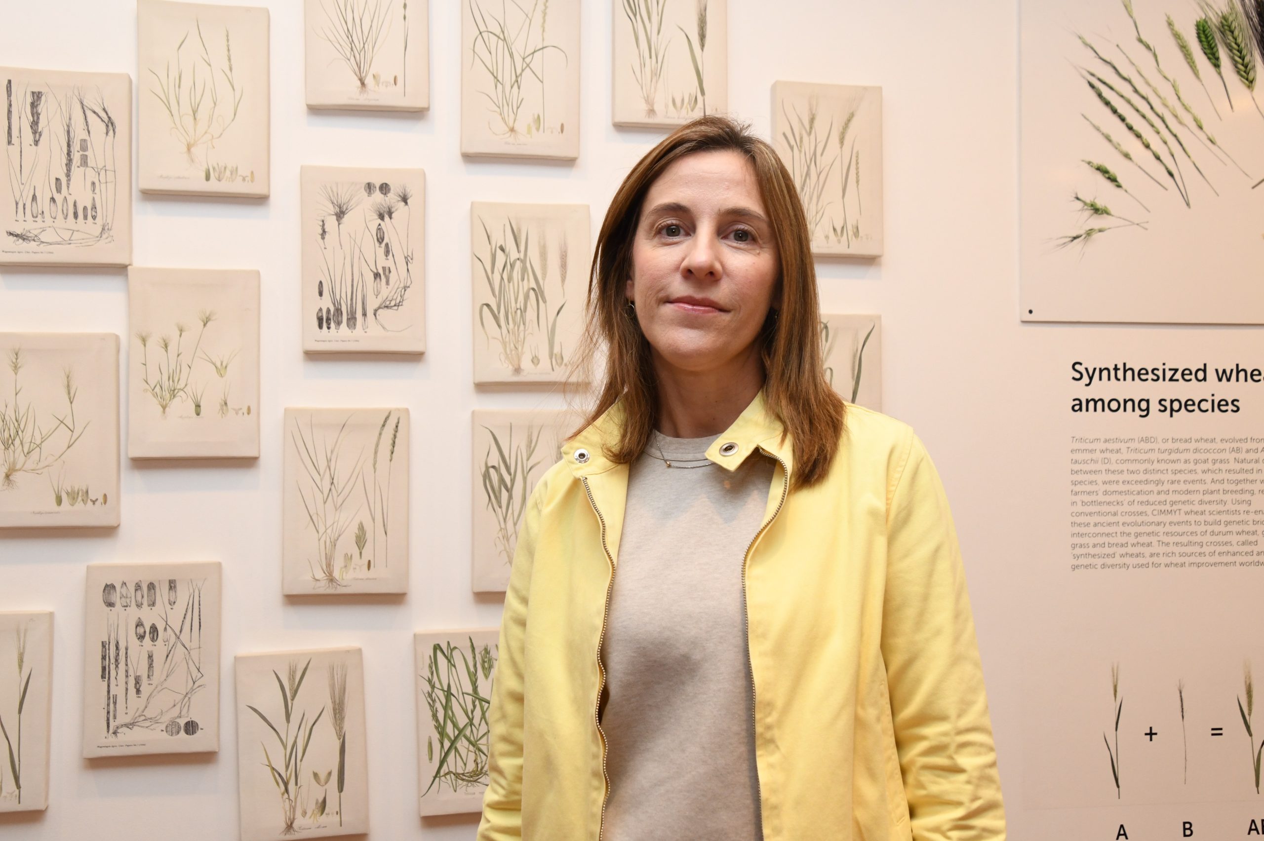 Carolina Sansaloni, especialista en genotipificación y curadora de trigo, resalta el papel de las mujeres en la ciencia y la conservación agrícola. (Foto: Gabriela Bracamonte/CIMMYT)