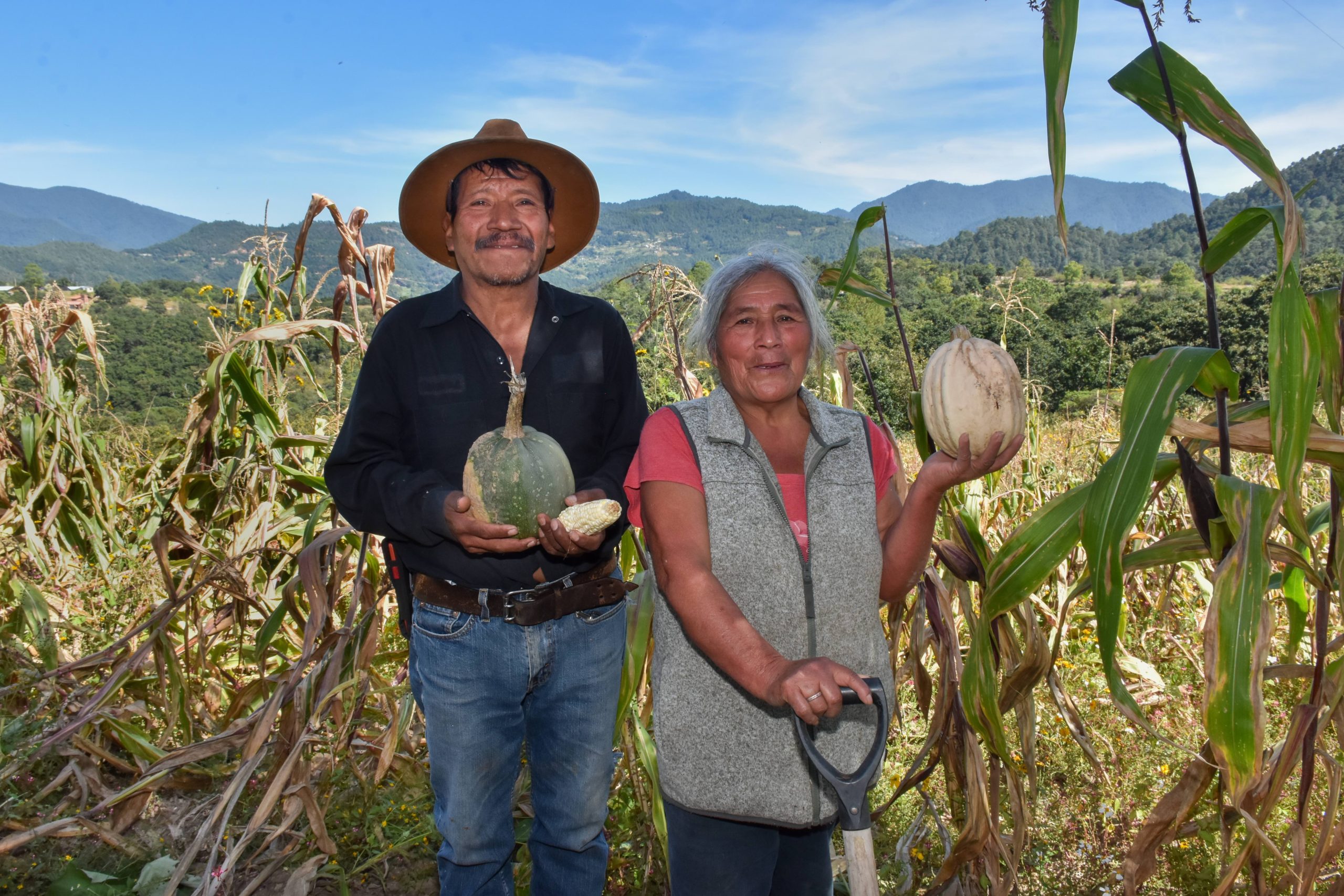 Fabián y Tomasa, productores de Santa Catarina Lachatao, muestran con orgullo el fruto de su trabajo. (Foto: Sarah Martínez/CIMMYT)