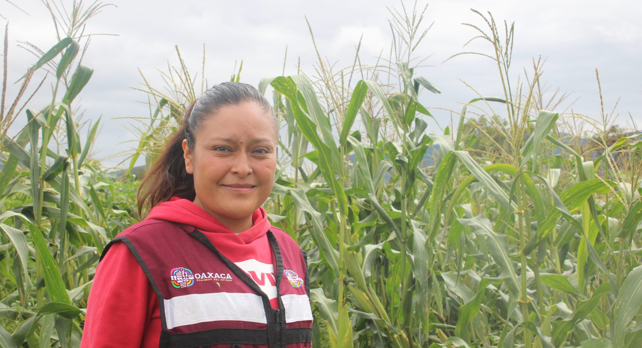 Gabriela Hernández Vázquez en el terreno que puso a disposición para funcionar como punto de entrenamiento. (Foto: Fernando Morales / CIMMYT)