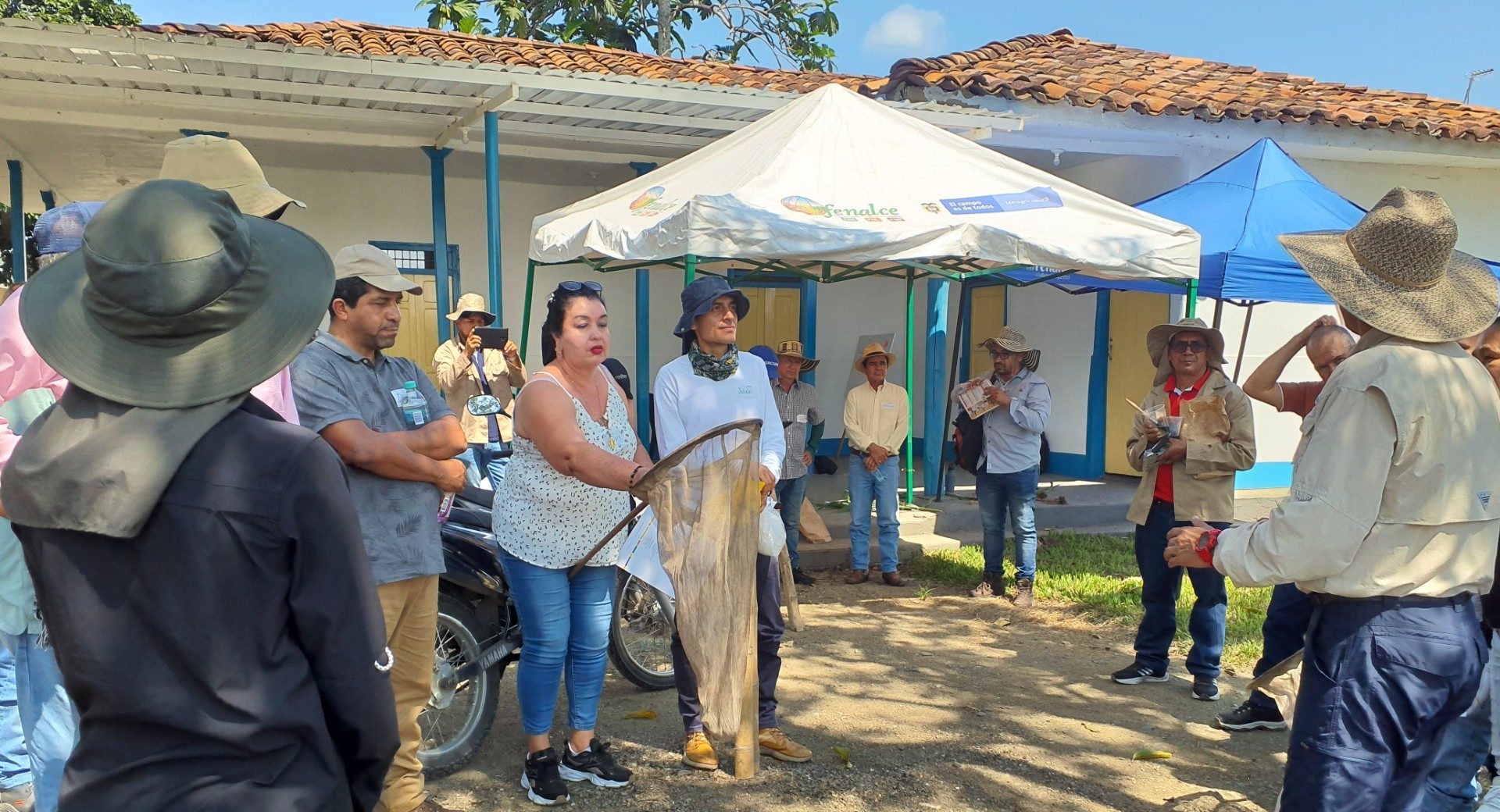 Práctica de instalaciones de trampas para D. maidis en Roldanillo, Valle del Cauca, Colombia. (Foto: Colombia Agroalimentaria Sostenible)